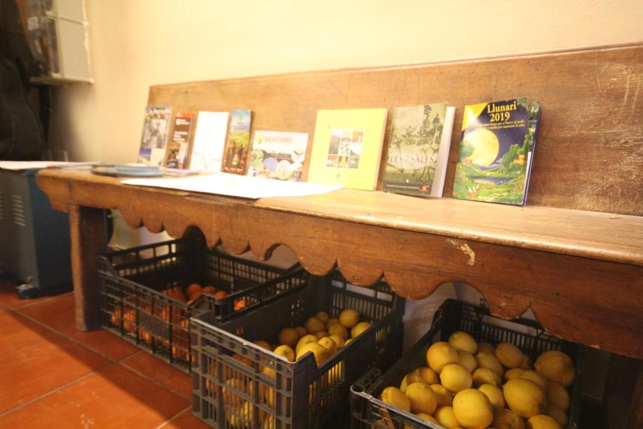 Hostal Centre Del Montsec Llimiana Εξωτερικό φωτογραφία